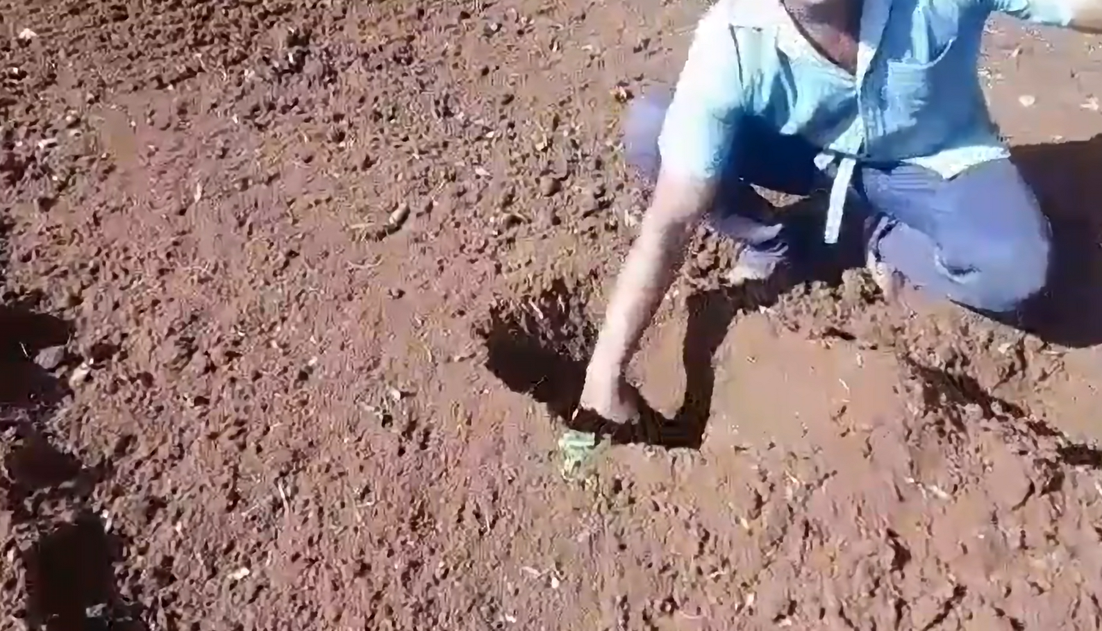 LOVOL TB504 field operation performance