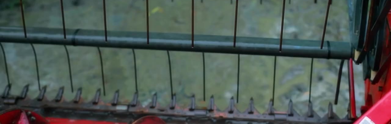 Regular inspection of cutting and feeding components helps support smooth harvesting operations.