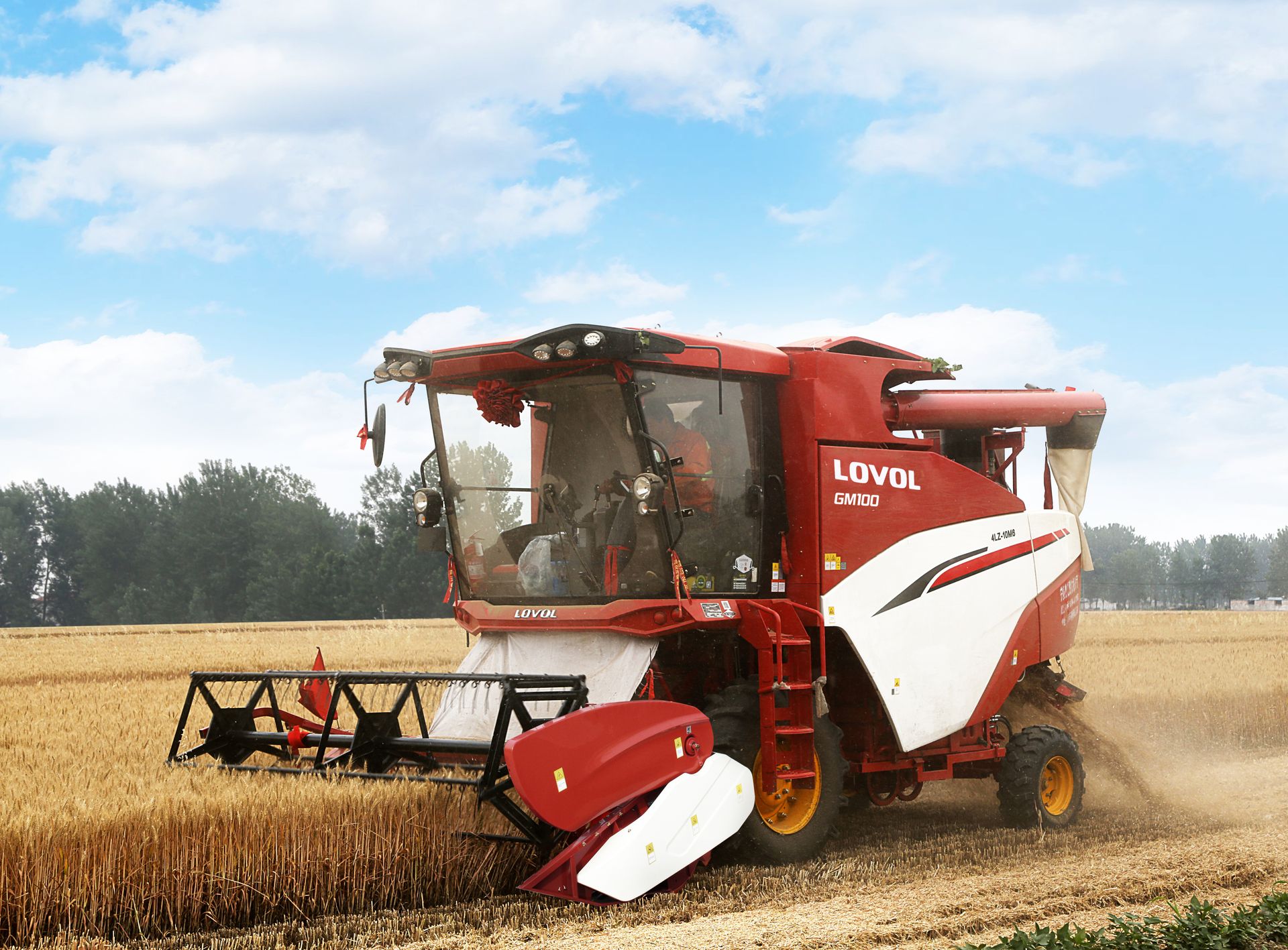 SMALL DRY FIELD